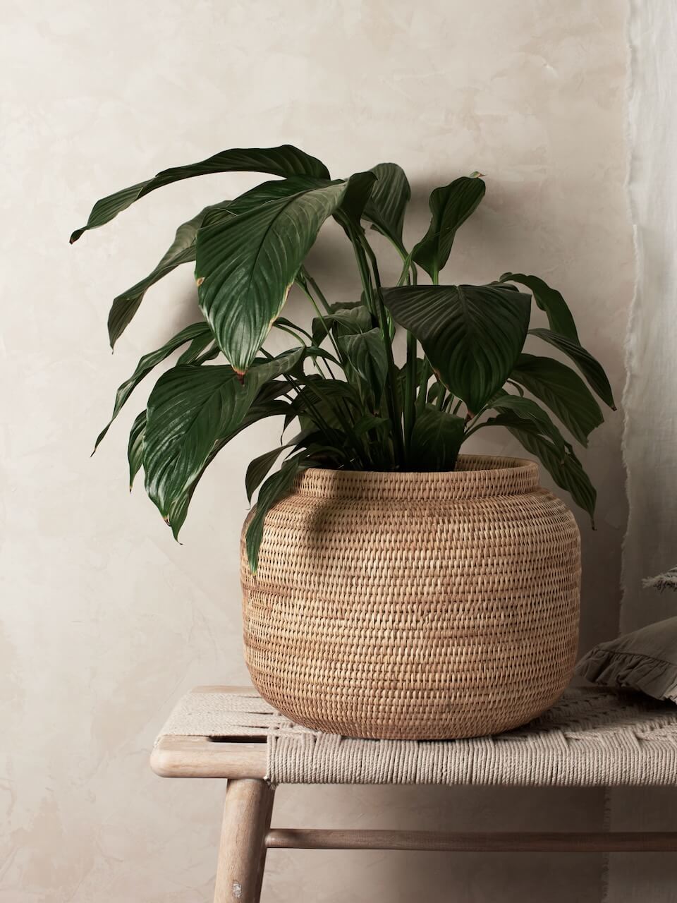 Natural Rattan Planter